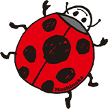 テントウムシ